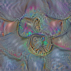 n02910353